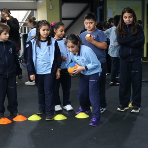 Día de la Actividad Física